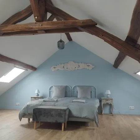 Spacieux Duplex En Plein Centre-ville De * フォンテーヌブロー